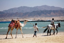 Shams Prestige Hotel - Red Sea. Beach.